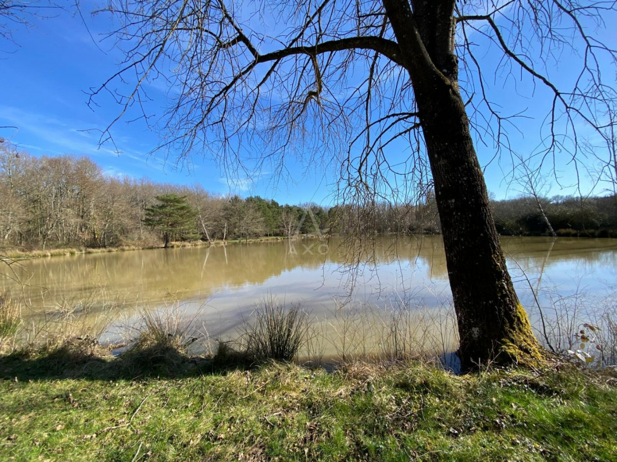 vente Etang Saint Brisson Sur Loire - Photo 10