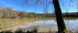 vente Etang Saint Brisson Sur Loire