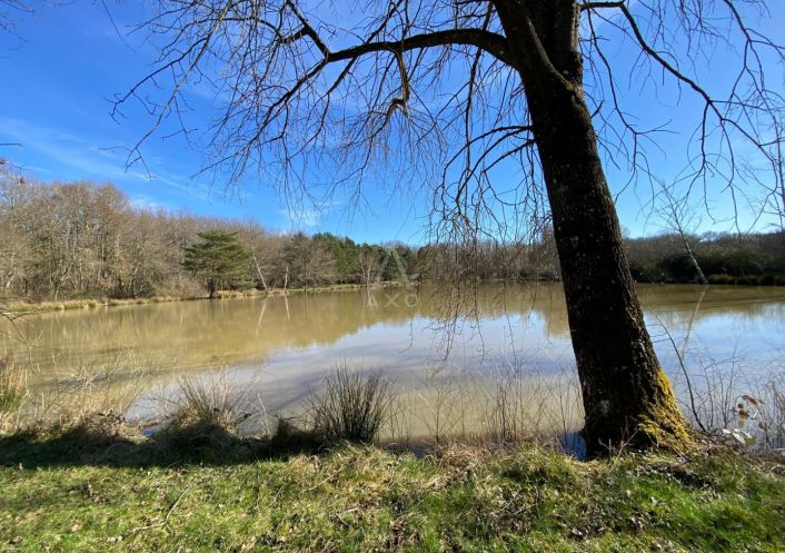 vente Etang Saint Brisson Sur Loire