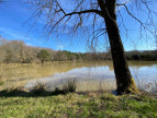 vente Etang Saint Brisson Sur Loire