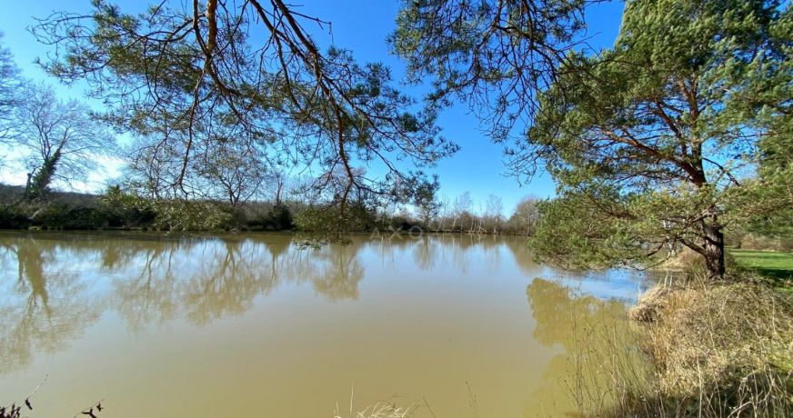 vente Etang Saint Brisson Sur Loire