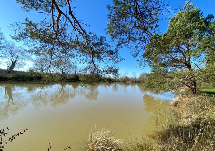 vente Etang Saint Brisson Sur Loire
