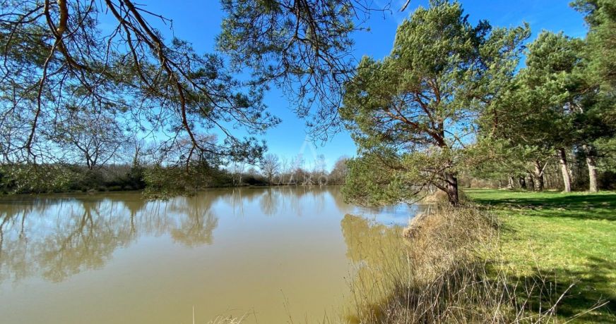 vente Etang Saint Brisson Sur Loire