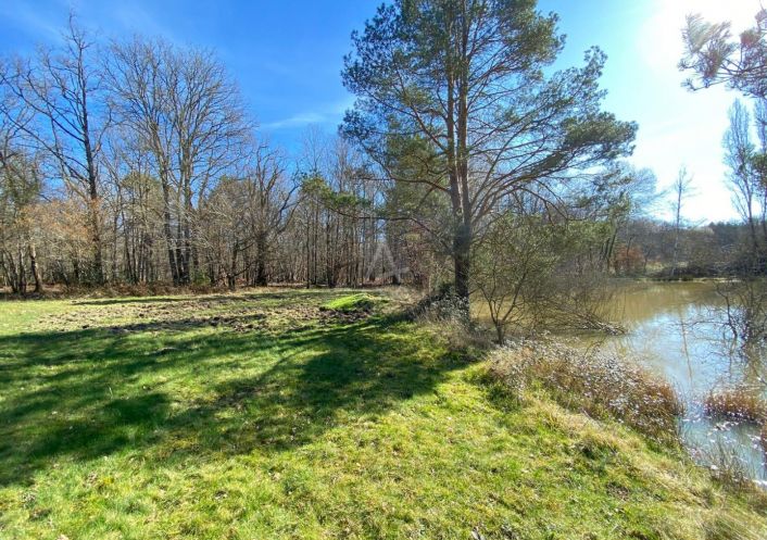 vente Etang Saint Brisson Sur Loire