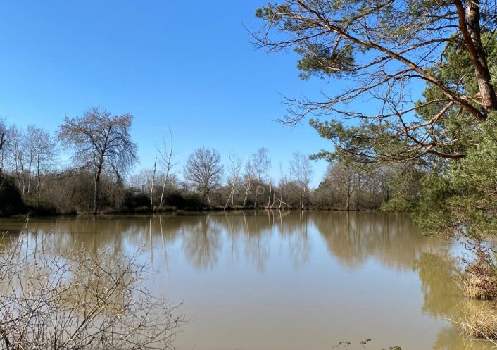 vente Etang Saint Brisson Sur Loire
