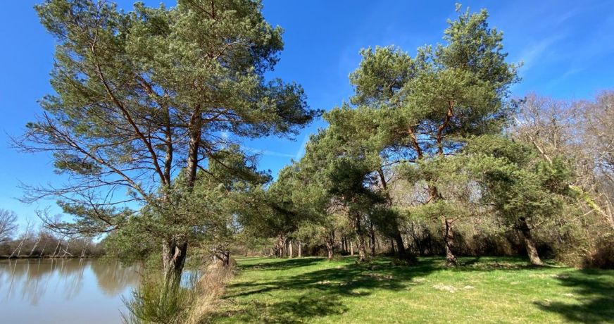 vente Etang Saint Brisson Sur Loire