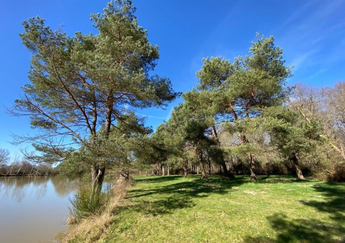 vente Etang Saint Brisson Sur Loire