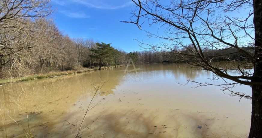 vente Etang Saint Brisson Sur Loire