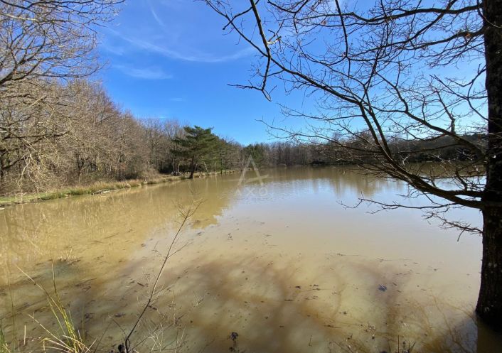vente Etang Saint Brisson Sur Loire