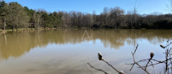 vente Etang Saint Brisson Sur Loire