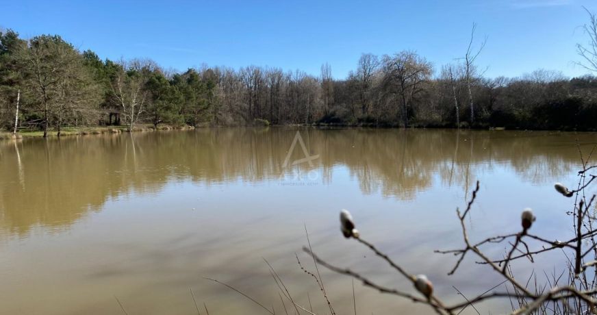 vente Etang Saint Brisson Sur Loire
