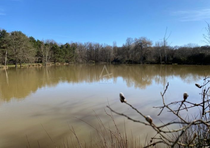 vente Etang Saint Brisson Sur Loire