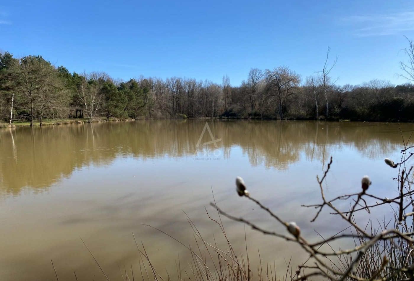 vente Etang Saint Brisson Sur Loire - Photo 9