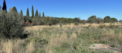 vente Terrain en lotissement Lezignan La Cebe