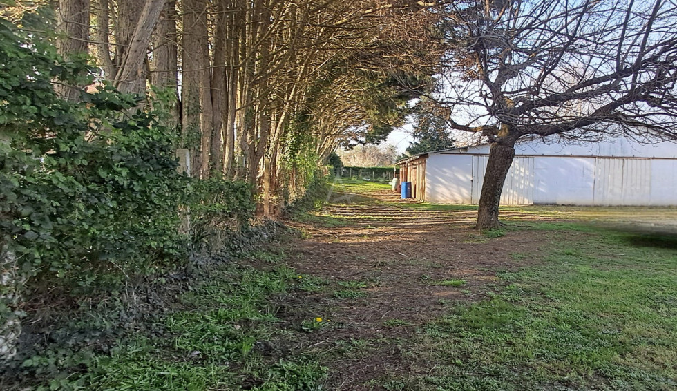 vente Hangar Chazelles - Photo 3