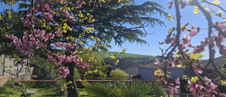 vente Maison de ville Saint Crespin Sur Moine