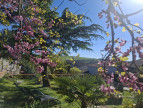 vente Maison de ville Saint Crespin Sur Moine