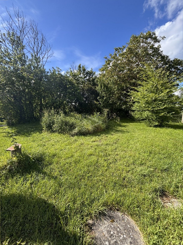 vente Maison Louvieres En Auge - Photo 6