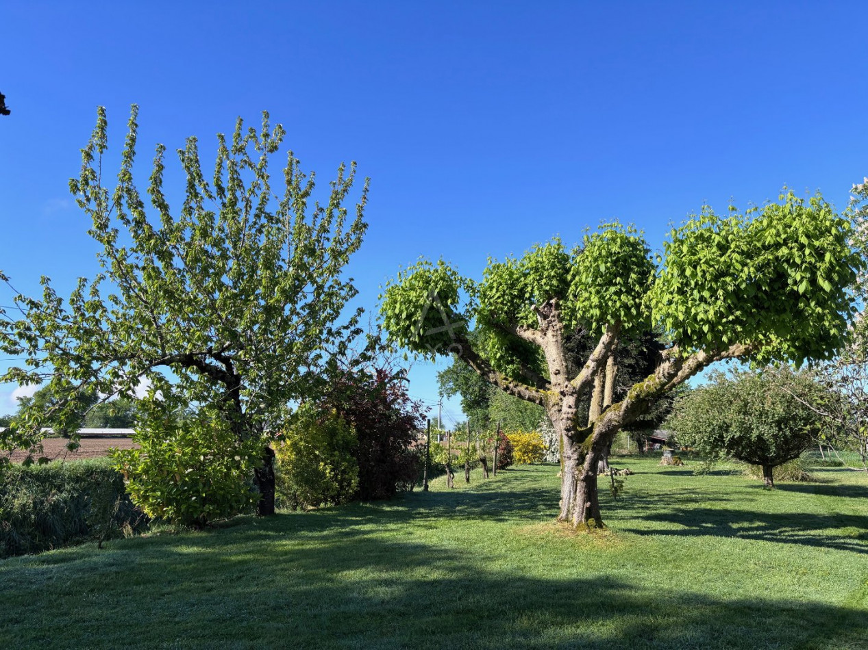vente Maison Arblade Le Bas - Photo 12