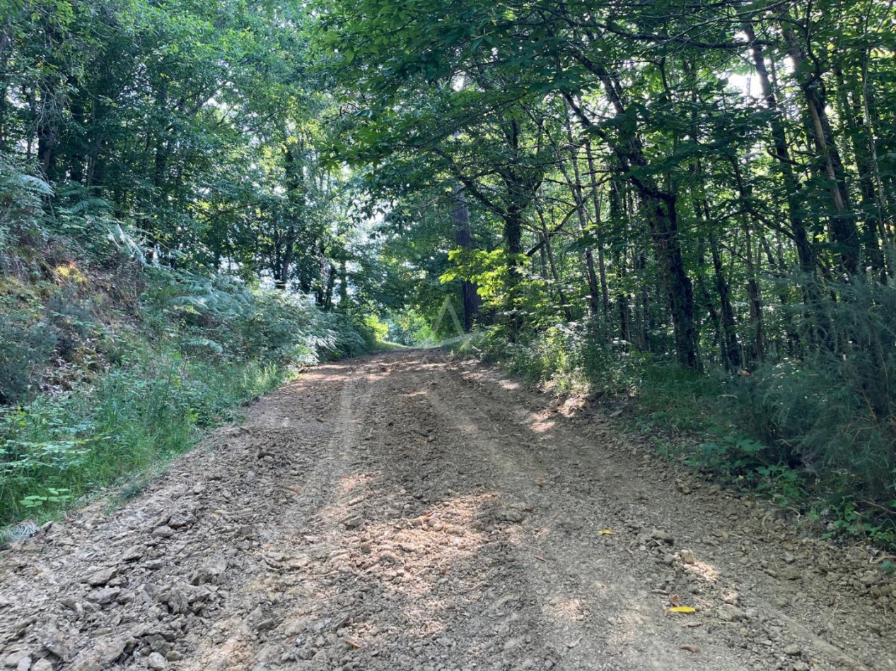 vente Maison et terrain Puycornet - Photo 13