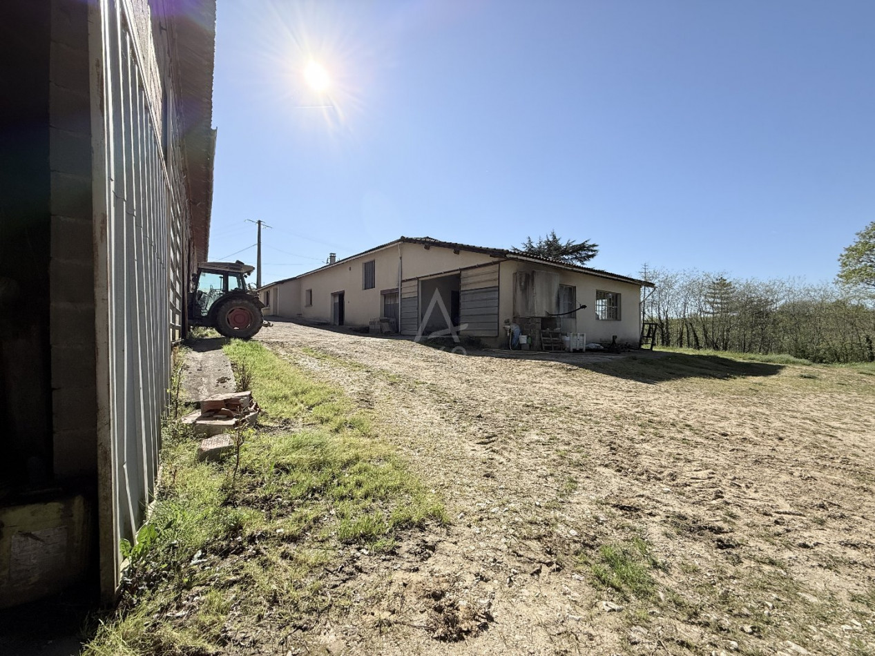 vente Maison et terrain Puycornet - Photo 15