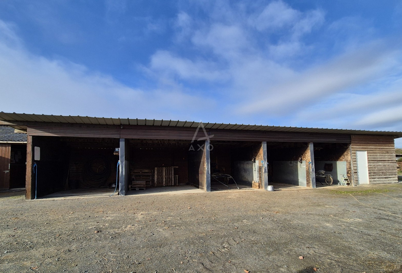 vente Haras / equestre Precigne - Photo 7