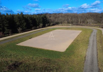 vente Haras / equestre Precigne