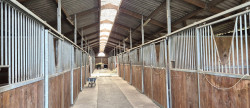 vente Haras / equestre Precigne