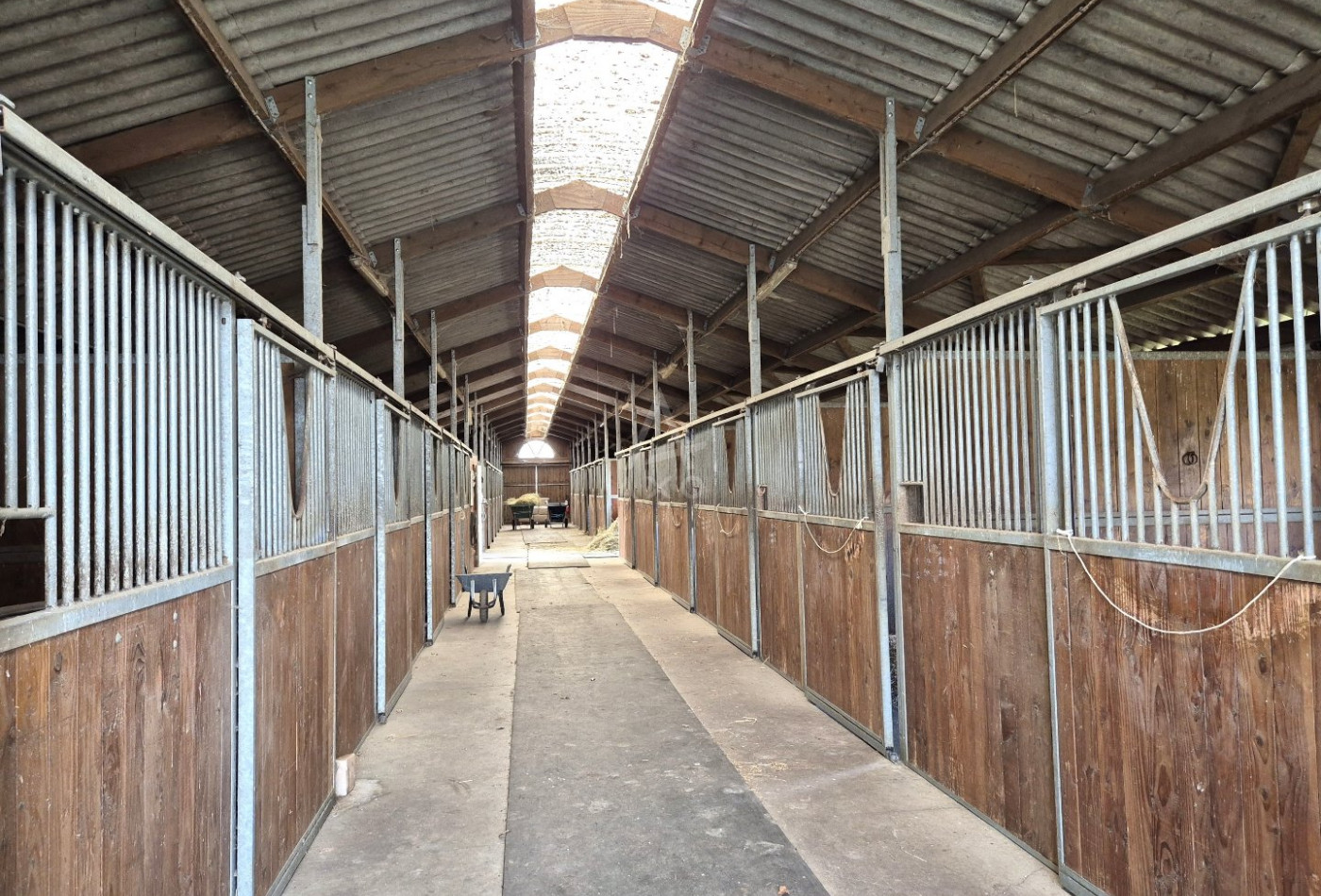 vente Haras / equestre Precigne - Photo 6