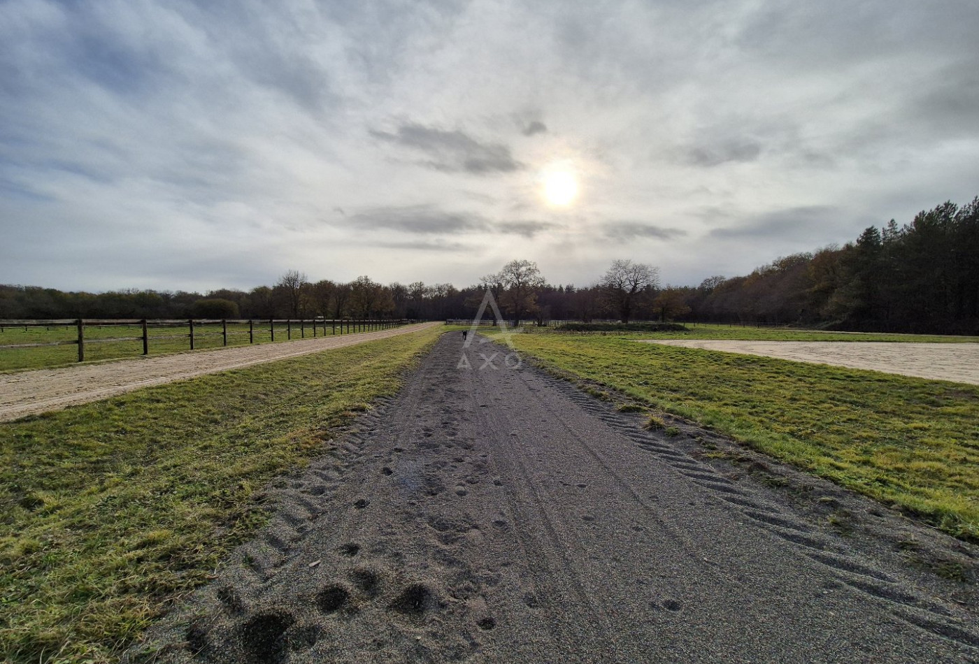vente Haras / equestre Precigne - Photo 9