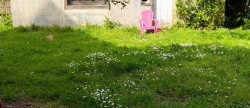 vente Maison Querrien
