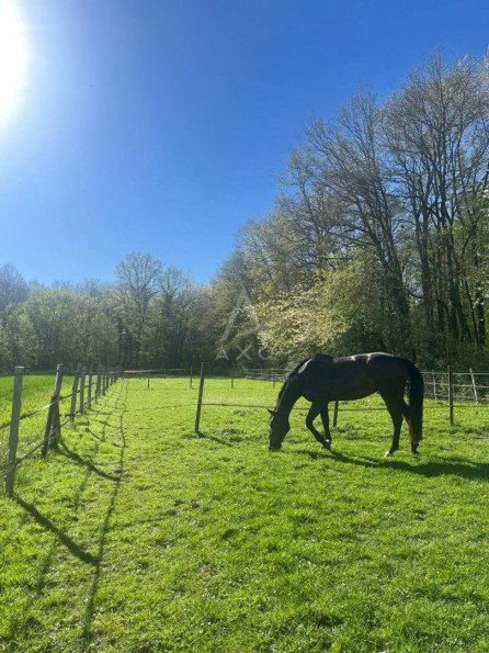 vente Haras / equestre Evreux - Photo 5