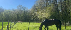 vente Haras / equestre Evreux