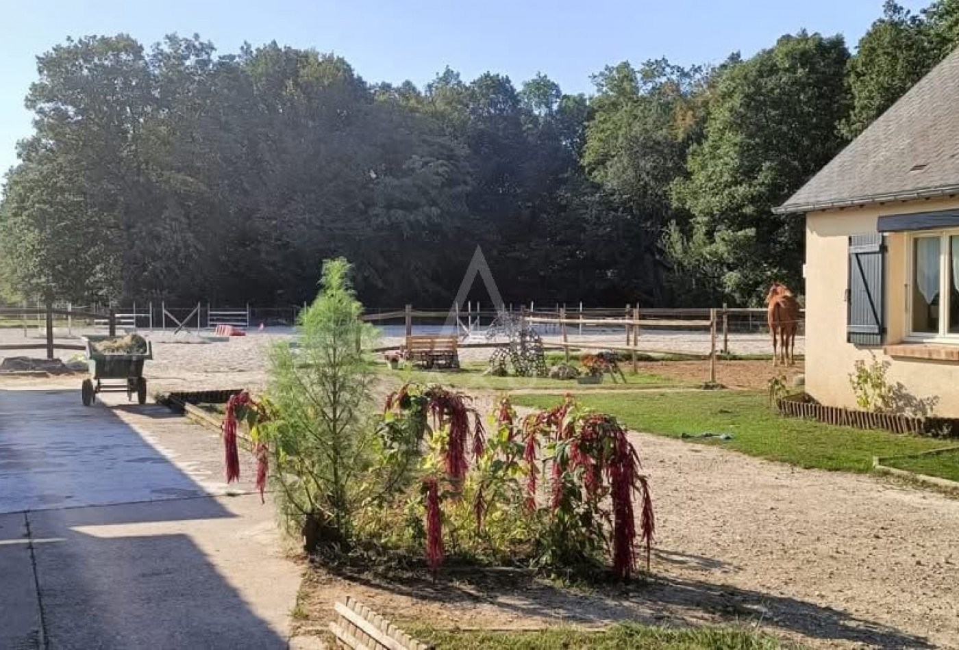 vente Haras / equestre Evreux - Photo 4