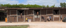 vente Haras / equestre Evreux