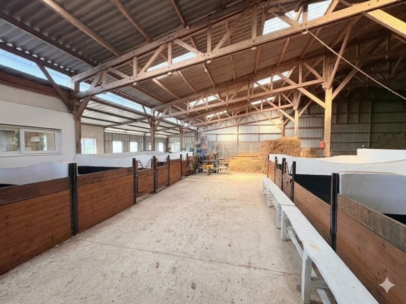 vente Haras / equestre Forges Les Eaux - Photo 9