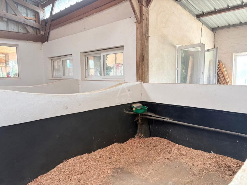 vente Haras / equestre Forges Les Eaux - Photo 10