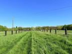 vente Haras / equestre Forges Les Eaux