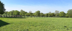 vente Haras / equestre Forges Les Eaux