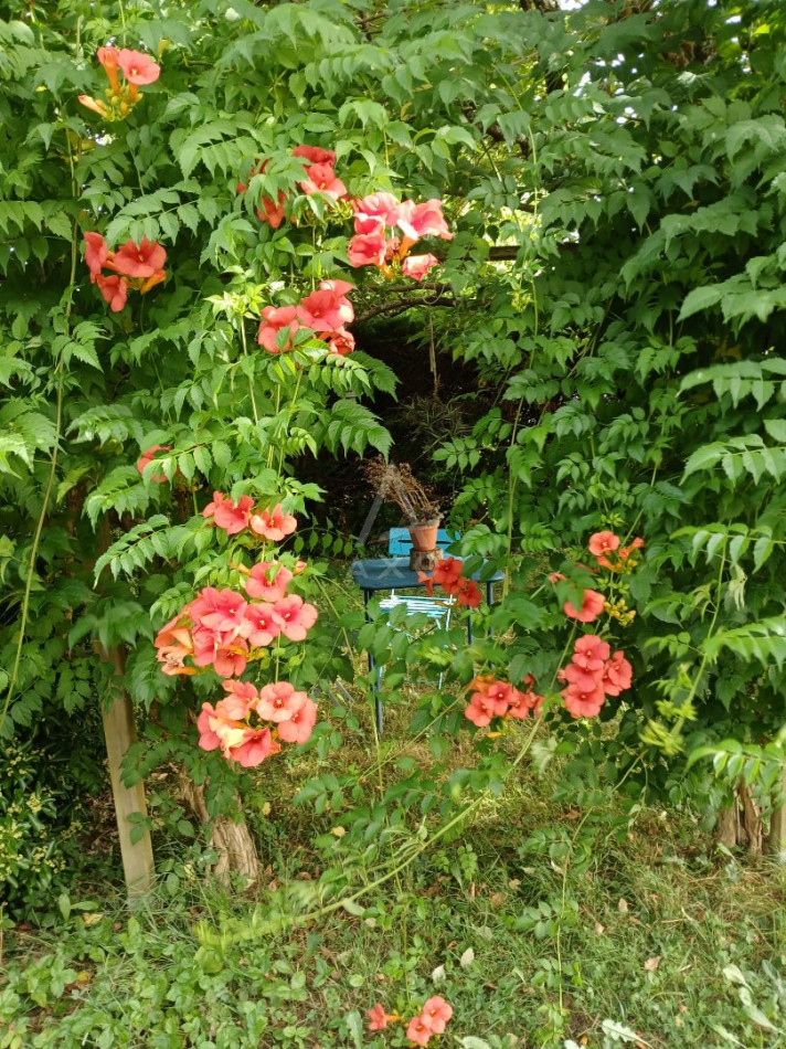 vente Maison Salies De Bearn - Photo 4