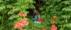 vente Maison Salies De Bearn
