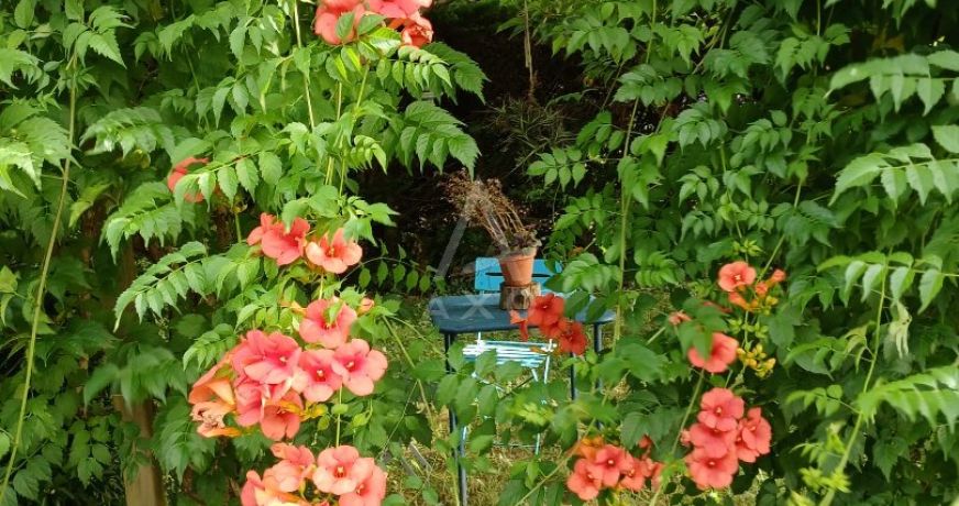 vente Maison Salies De Bearn
