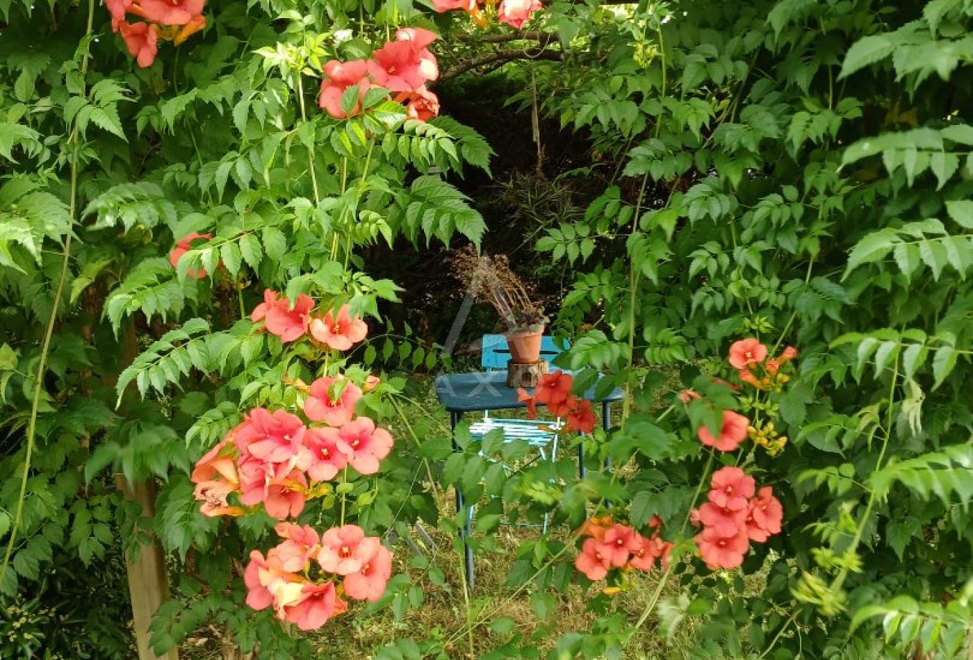 vente Maison Salies De Bearn - Photo 4