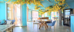 vente Restaurant Bormes Les Mimosas