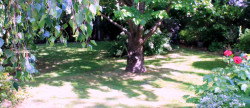 vente Maison Paimpol