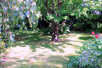 vente Maison Paimpol