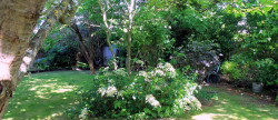 vente Maison Paimpol