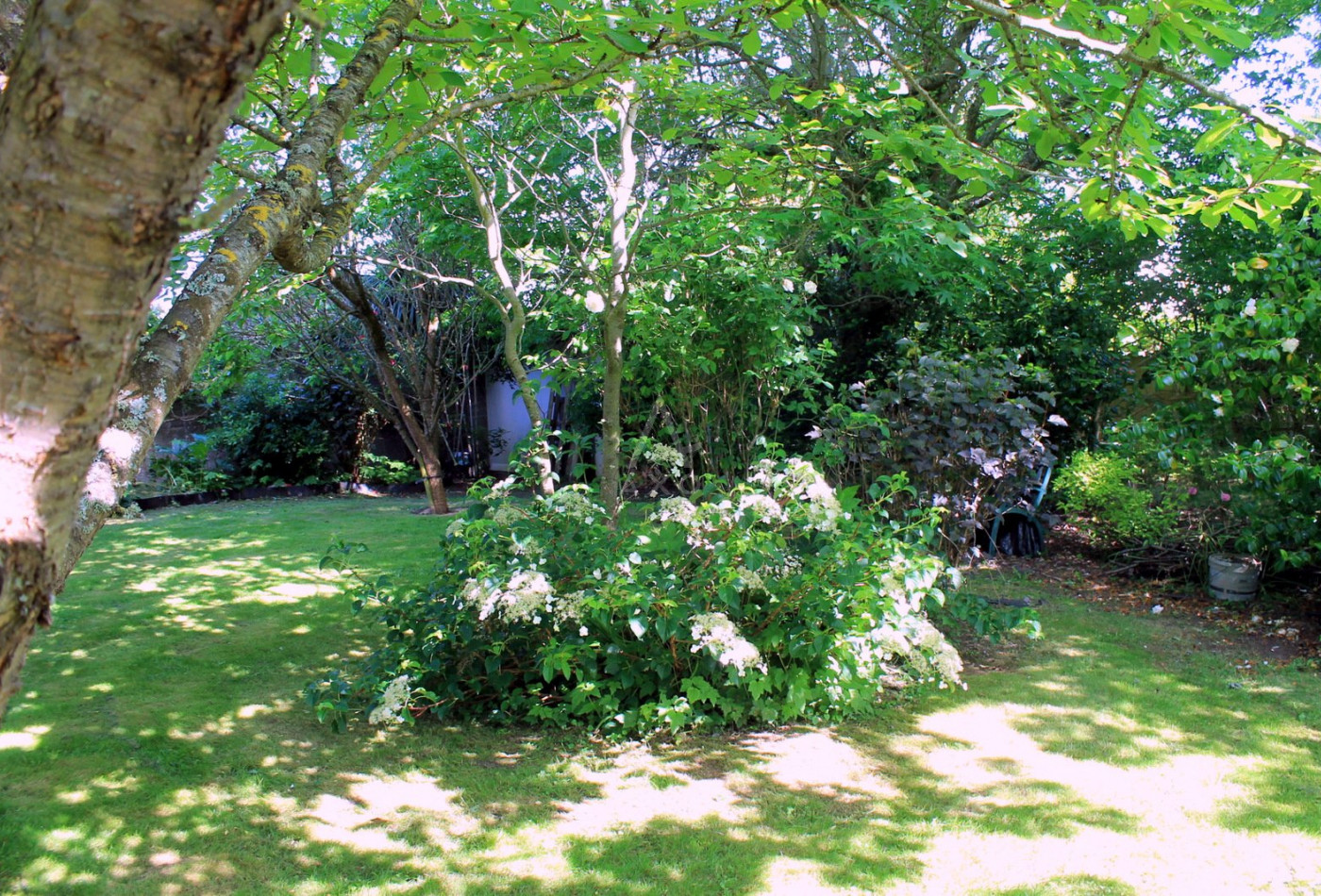 vente Maison Paimpol - Photo 10