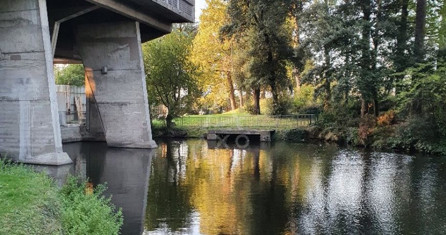vente Appartement Reze