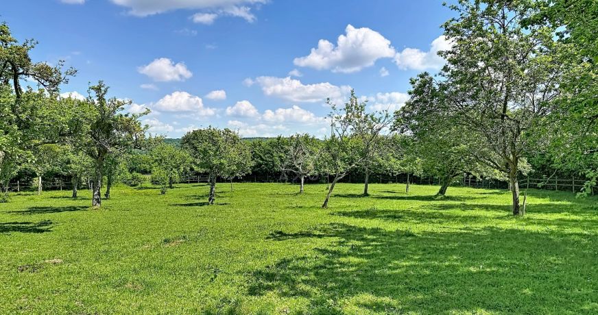 vente Ensemble immobilier Le Breuil En Auge